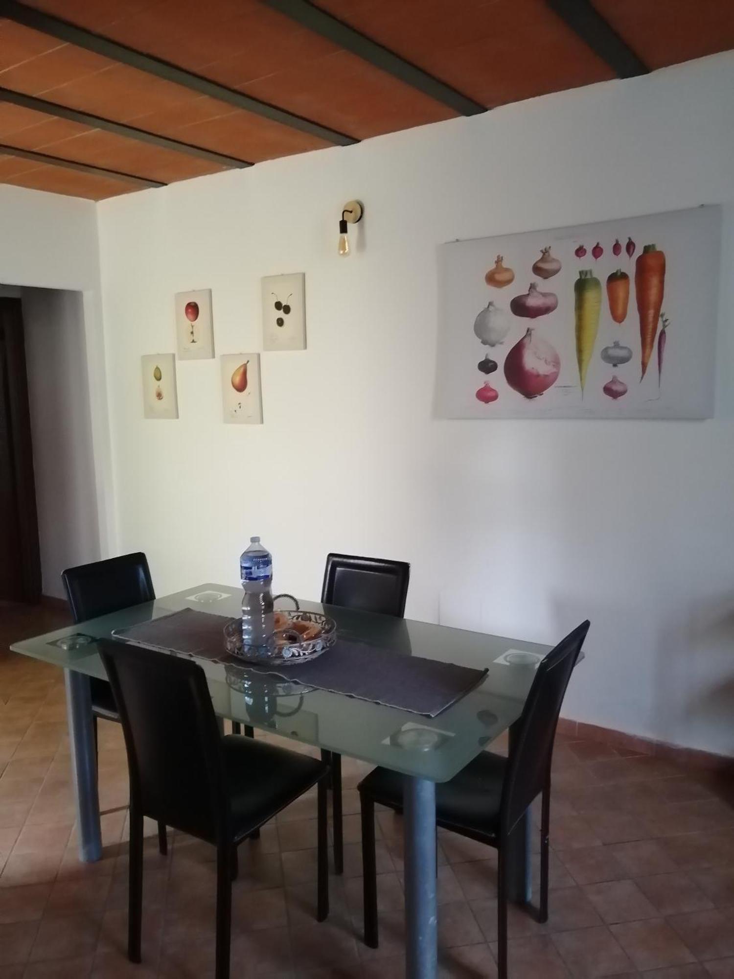 A Casa Mia Διαμέρισμα Πίζα Εξωτερικό φωτογραφία