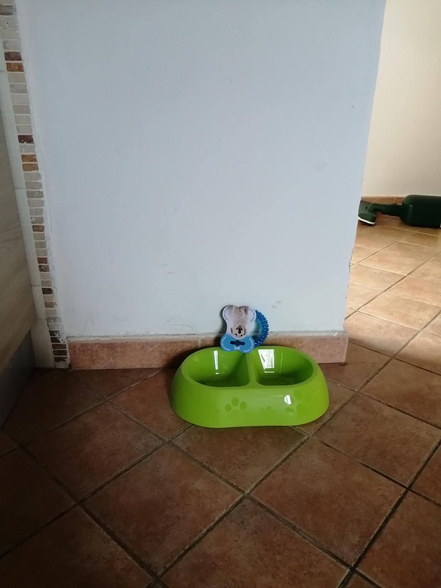 A Casa Mia Διαμέρισμα Πίζα Εξωτερικό φωτογραφία